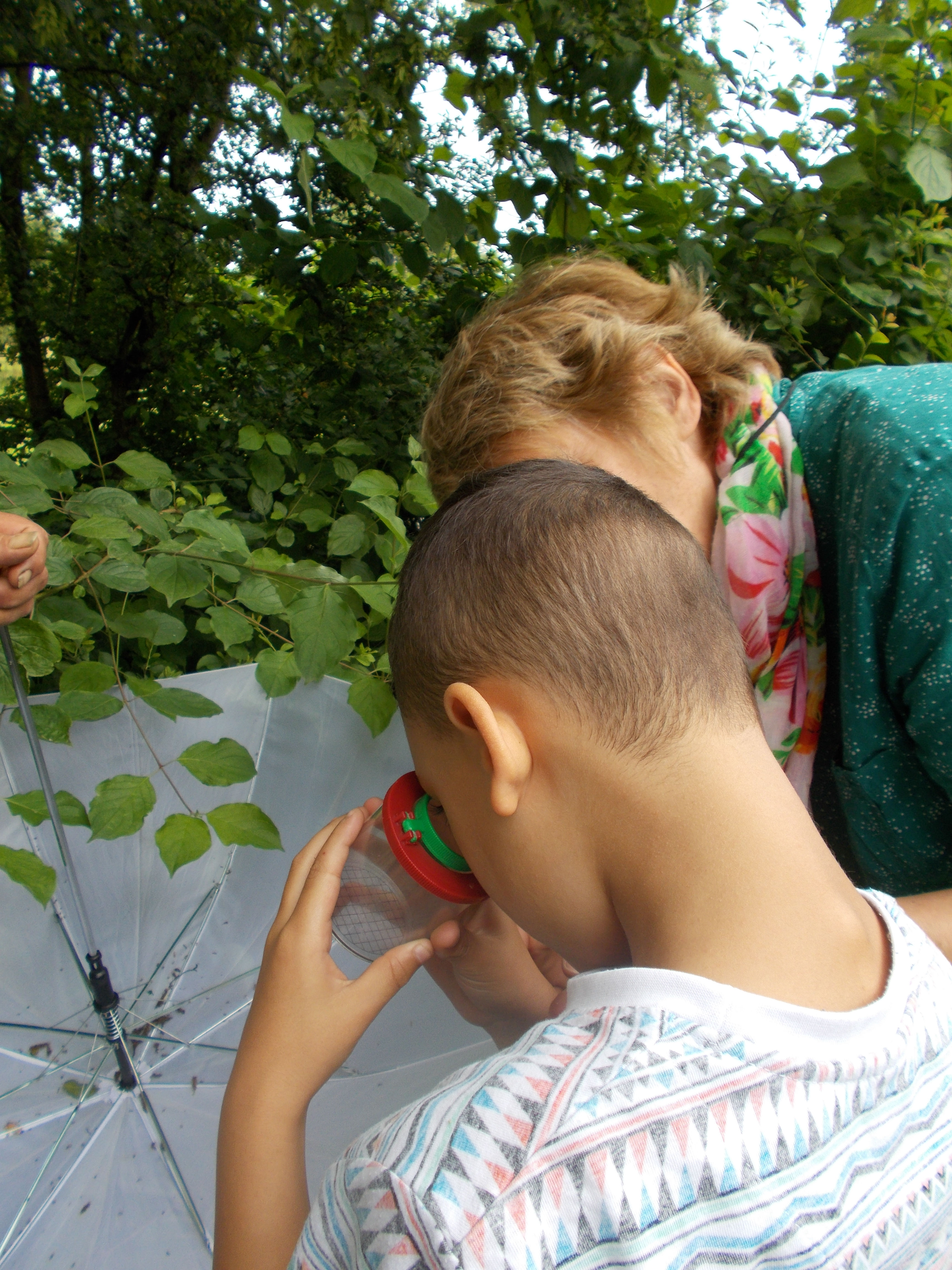 Fröbelschule Fellbach - Schüler - Stufenprofil der Grundschule
